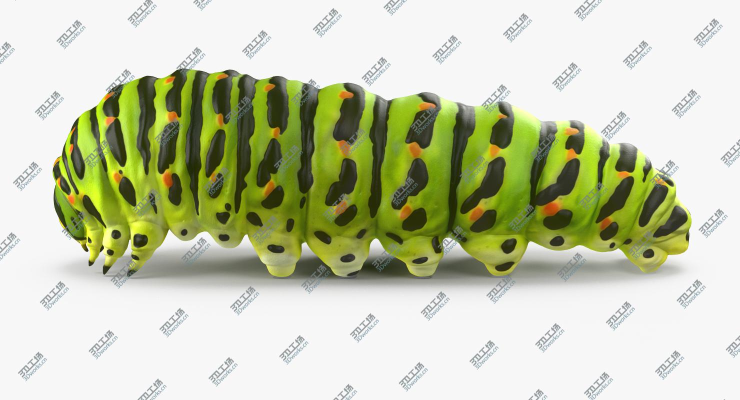 images/goods_img/202104091/Caterpillar Rigged for Maya/2.jpg